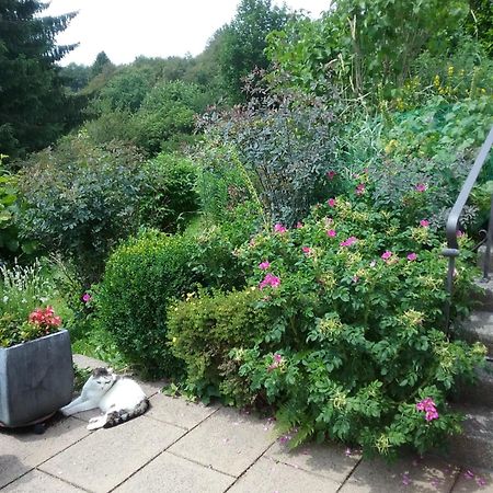 Perlenbachtal Apartment Monschau Luaran gambar