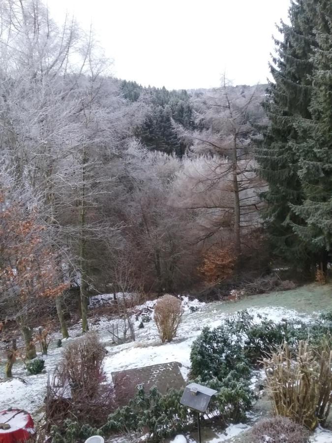 Perlenbachtal Apartment Monschau Luaran gambar