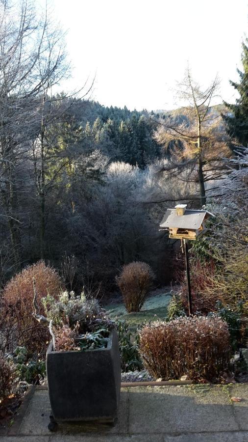 Perlenbachtal Apartment Monschau Luaran gambar