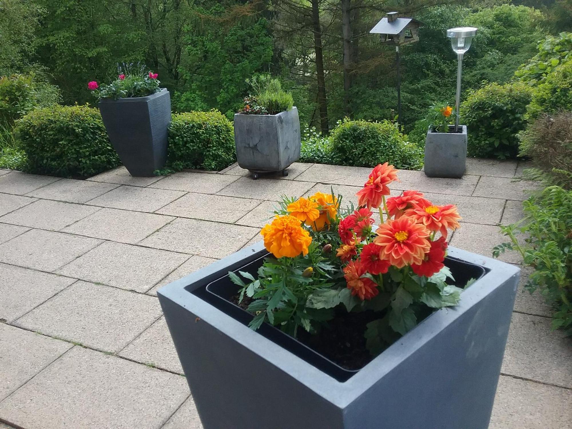 Perlenbachtal Apartment Monschau Luaran gambar