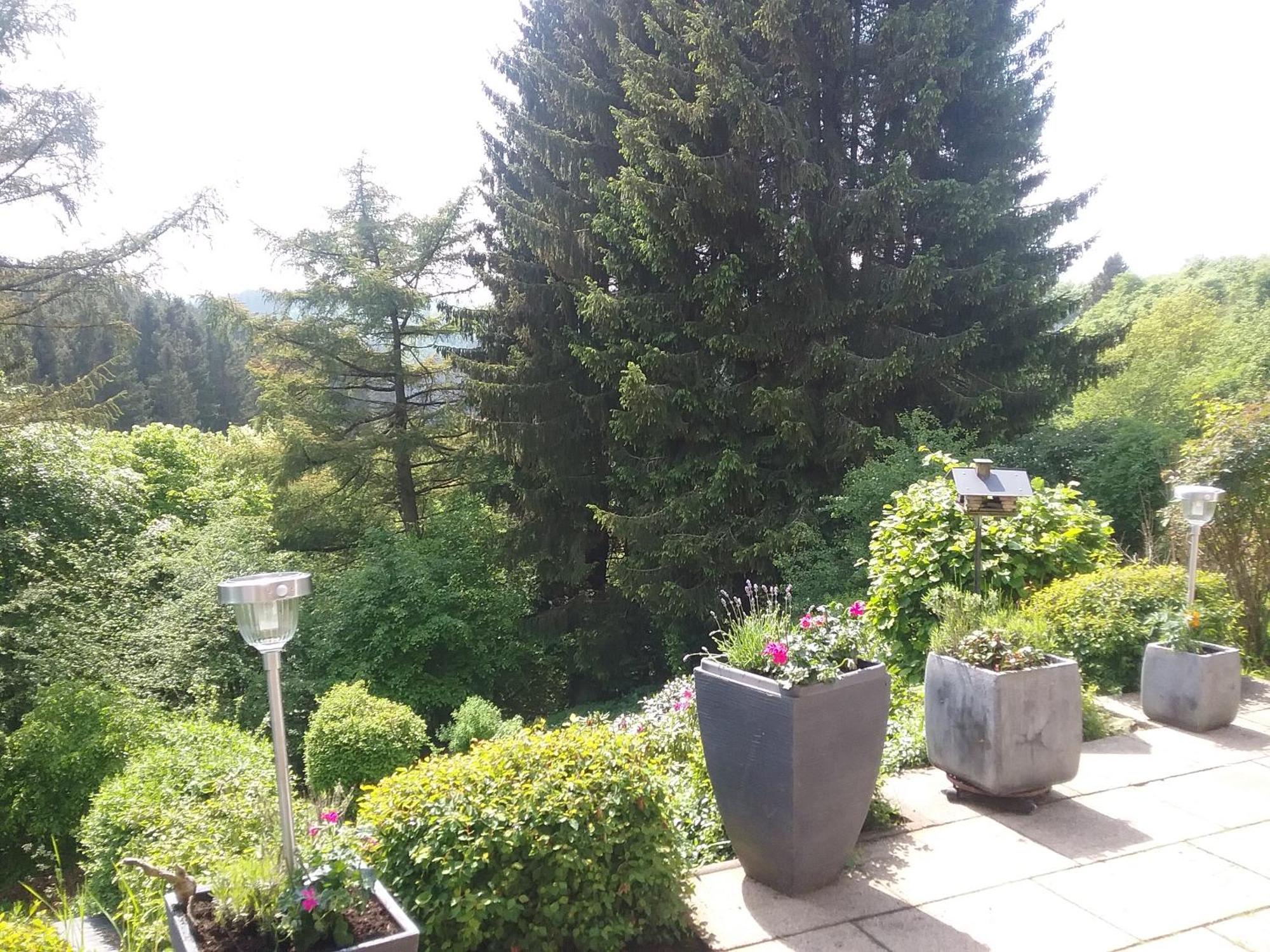 Perlenbachtal Apartment Monschau Luaran gambar
